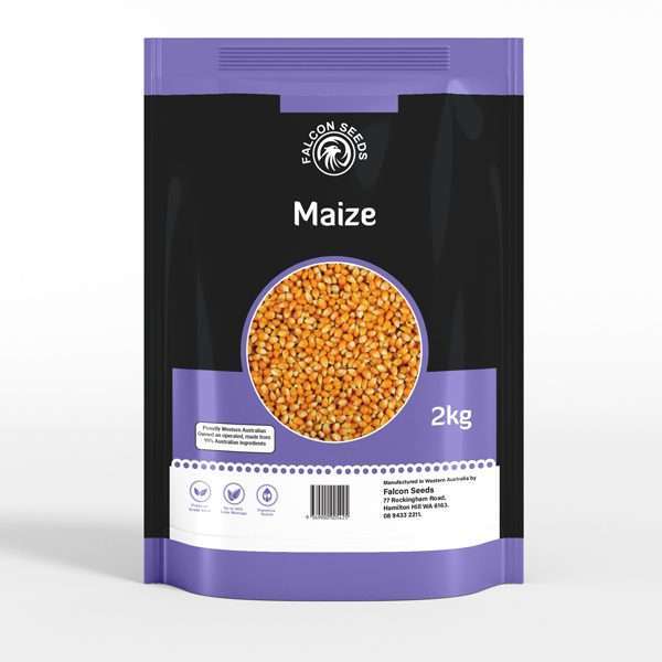 Maize
