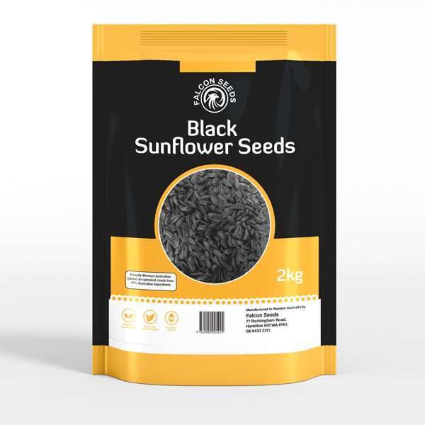 Black Sunflower
