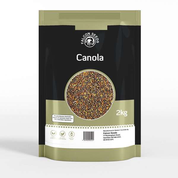 Canola